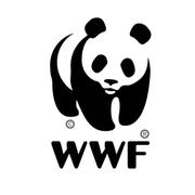 WWF中国