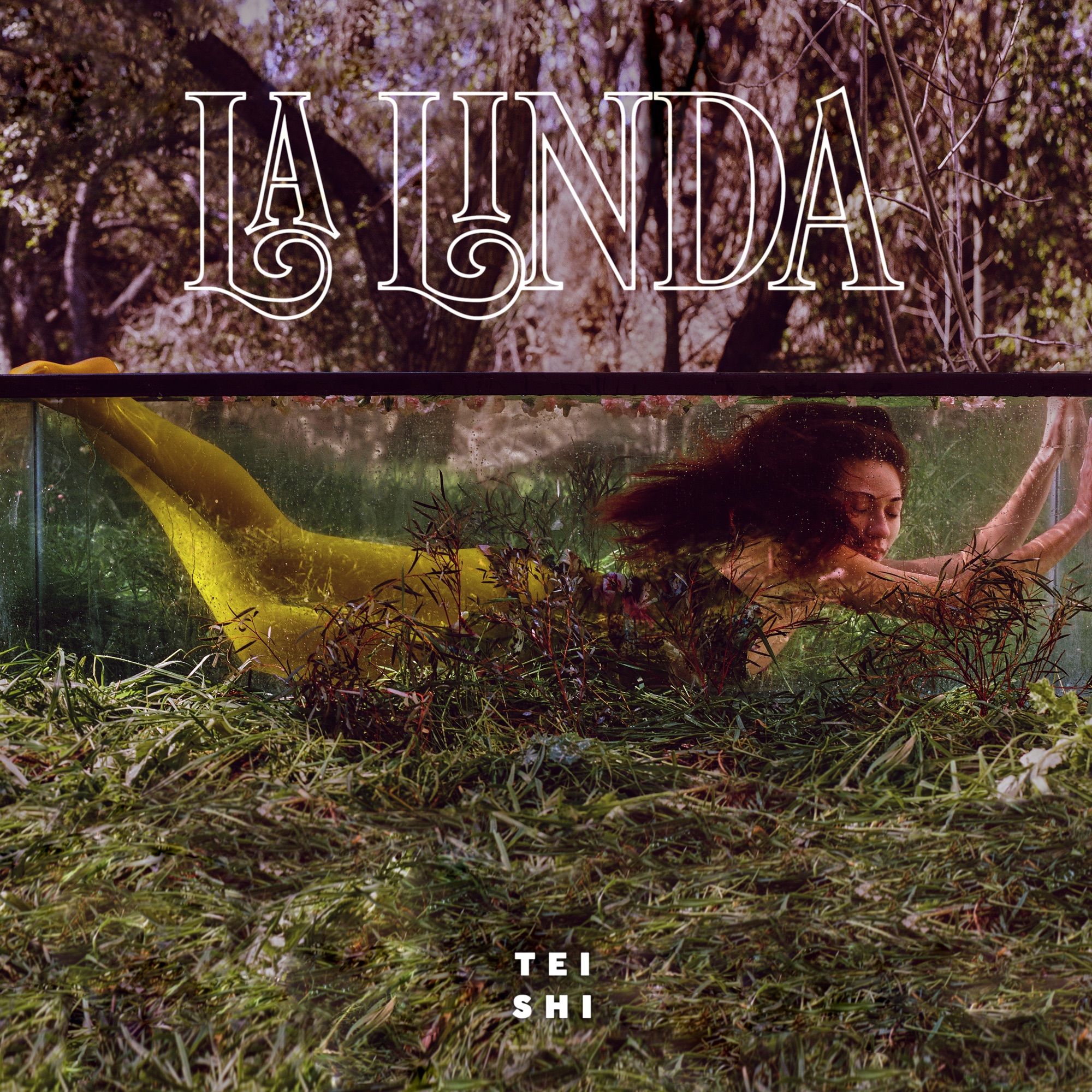 11|Tei Shi – La Linda